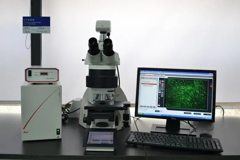 濾光片是如何決定顯微鏡成像性能的？