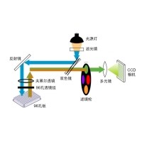 什么是熒光定量PCR、數(shù)字PCR？