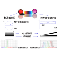 線性漸變?yōu)V光片是什么？有何特點(diǎn)？