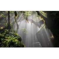 光的干涉、衍射、折射、反射、散射